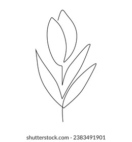 Blume in einer durchgehenden Zeichnung. Skizze pflanzen. Vektorgrafik einzeln. Minimalistisches Design handgezeichnet.