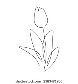 Tulip flower in continuous one line drawing. Plant outline art. Vector illustration isolated. Minimalist design handdrawn.
