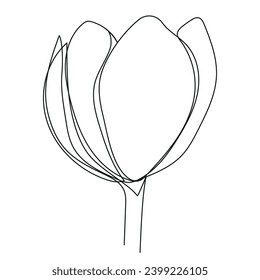 Tulip flower continuous one line drawing. Linear vector illustration. Editable stroke
