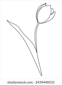 Tulip flower continuous one line drawing art. Simple clean style vector illustration
