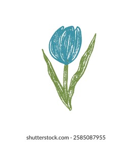 Tulip flower crayon drawn. Spring crocus plant doodle isolated on white background. Summer floral kids element. Chalk or pastel style childish scrawl nature shape. Vector naive illustration by pencil.