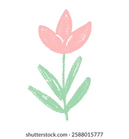 Tulip flower crayon drawn. Spring crocus plant doodle isolated on white background. Summer floral kids element. Chalk or pastel style childish scrawl nature shape. Vector naive illustration by pencil.