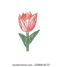 Tulip flower crayon drawn. Spring red crocus plant doodle isolated on white background. Summer floral kids element. Chalk or pastel style childish scrawl nature shape. Vector illustration by pencil.