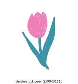 Tulip flower crayon drawn. Spring crocus plant doodle isolated on white background. Summer floral kids element. Chalk or pastel style childish scrawl nature shape. Vector naive illustration by pencil.