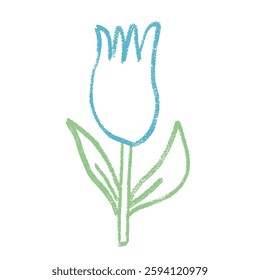 Tulip flower crayon drawn. Spring crocus plant doodle isolated on white background. Summer floral kids element. Chalk or pastel style childish scrawl nature shape. Vector naive illustration by pencil.