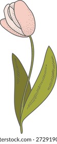 Tulipa flor com haste curvada, pétalas em camadas, textura manchada, e duas folhas longas em linha limpa arte. Símbolo de primavera, romance, pureza, crescimento e renovação. Ilustração de vetor de desenhos animados.