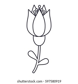 tulip flower decoration line