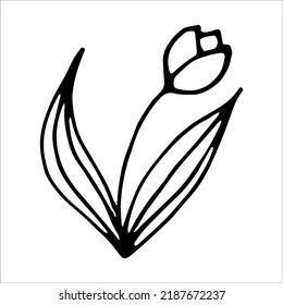 Tulip Flower Doodle Style Vector Illustration Stock Vector (Royalty ...