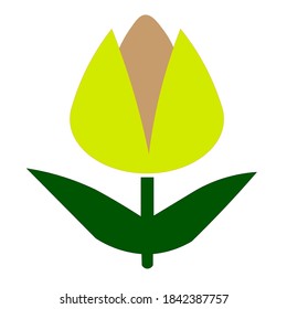 Tulpenblumenzeichnung mit Vektorgrafik