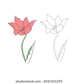 tulip flower drawn in vector, postcard with a delicate flower. First spring flowers
