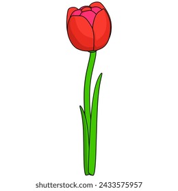 Tulip flower element. Vector illustration with spring season theme. Editable vector element.