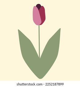 tulip flower flat style vector illustration. Pink botanical plant simple icon pastel color