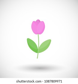 Tulip flower flat vector icon, Flat design of spring floral object on the white background with round shadow, cute vector illustration with reflections