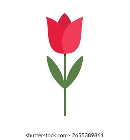 Tulip flower flat vector illustration on white background