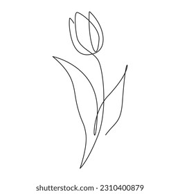 Tulip Flower. Floral plant leaves. Minimalistic vertor illustration. Black and white. White background. One line drawing.