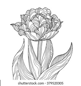 510 Top Vintage Flower Coloring Pages Pictures