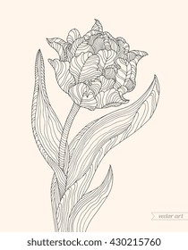 Tulip flower, forest plant line pattern. Vector artwork. Love bohemia concept for wedding invitation card, ticket, branding. Gift for girl, women. Black and white, beige color tulip flower