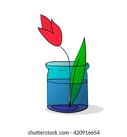 tulip flower in glass jar colorized vector illustration on white background