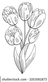 Tulip flower graphic black white isolated bouquet sketch illustration vector