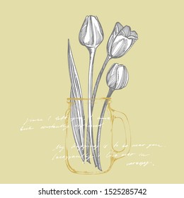 Tulip flower graphic sketch illustration. Botanical plant illustration. Vintage medicinal herbs sketch set of ink hand drawn medical herbs and plants sketch. Handwritten abstract text