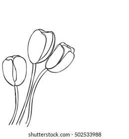 tulip flower hand drawn background vector