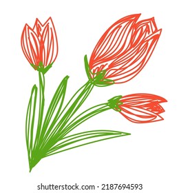 Tulip flower. Hand drawn vector illustration. Pen or marker doodle sketch