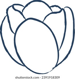 Tulip flower hand drawn vector illustration