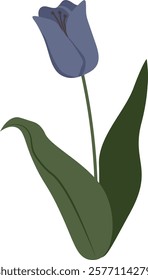 Tulip Flower Handdrawn Vector Illustration