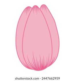 Tulip flower head hand drawn line art illustration. Spring blossom, pink bloom, floral element. Vector design, isolated. Mothers Day, Easter, seasonal, botanical clip art