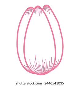 Tulip flower head outline, hand drawn line art illustration. Spring blossom, pink bloom, floral element. Vector design, isolated. Mothers Day, Easter, seasonal, botanical clip art