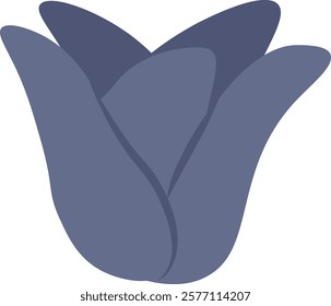 Tulip Flower Head Vector Illustration