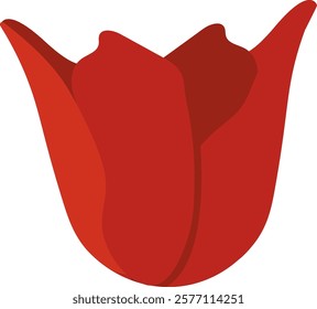 Tulip Flower Head Vector Illustration