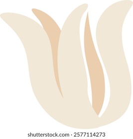 Tulip Flower Head Vector Illustration