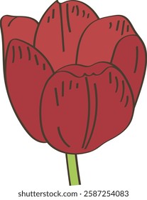 Tulip Flower Head Vector Illustration