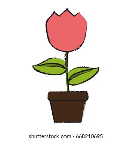 tulip flower icon image 
