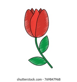 tulip flower icon image 