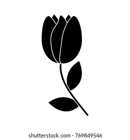 tulip flower icon image 