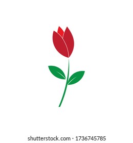 tulip flower illustration logo vector