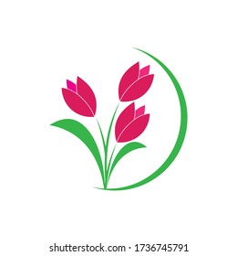 Logo für Tulpenblume