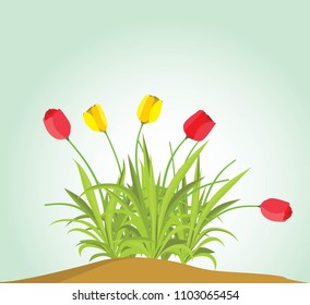 tulip flower ilustration