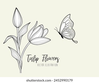  Tulip Flower isolated on white paper background. vector illustration.