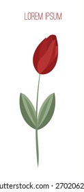 Tulip flower isolated vector illustration. Beautiful minimal floral card for mother's day, wedding or save the date invitation. Card with place for your text. minimal design, flat colors.