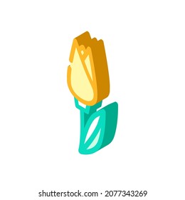 tulip flower isometric icon vector. tulip flower sign. isolated symbol illustration