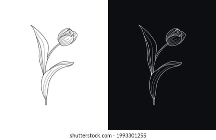 Blume und Zeichnung der Blätter.