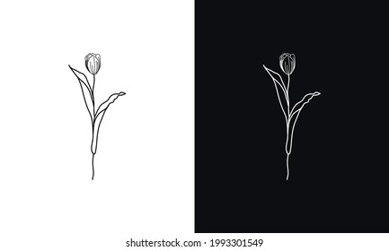 Tulip flower and leaf drawing illustration.