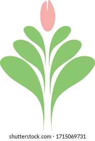 Tulip flower and leaves image