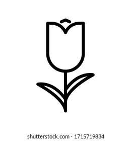 Tulip flower with leaves thin line icon isolated on white background EPS Vector