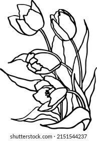 Tulip Flower Line Art Flower Line Stock Vector (Royalty Free ...