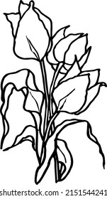 tulip flower line art. flower line art.tulip vector and graphics. flower elements.