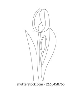 Tulip Flower Line Art Coloring Page Stock Vector (Royalty Free ...